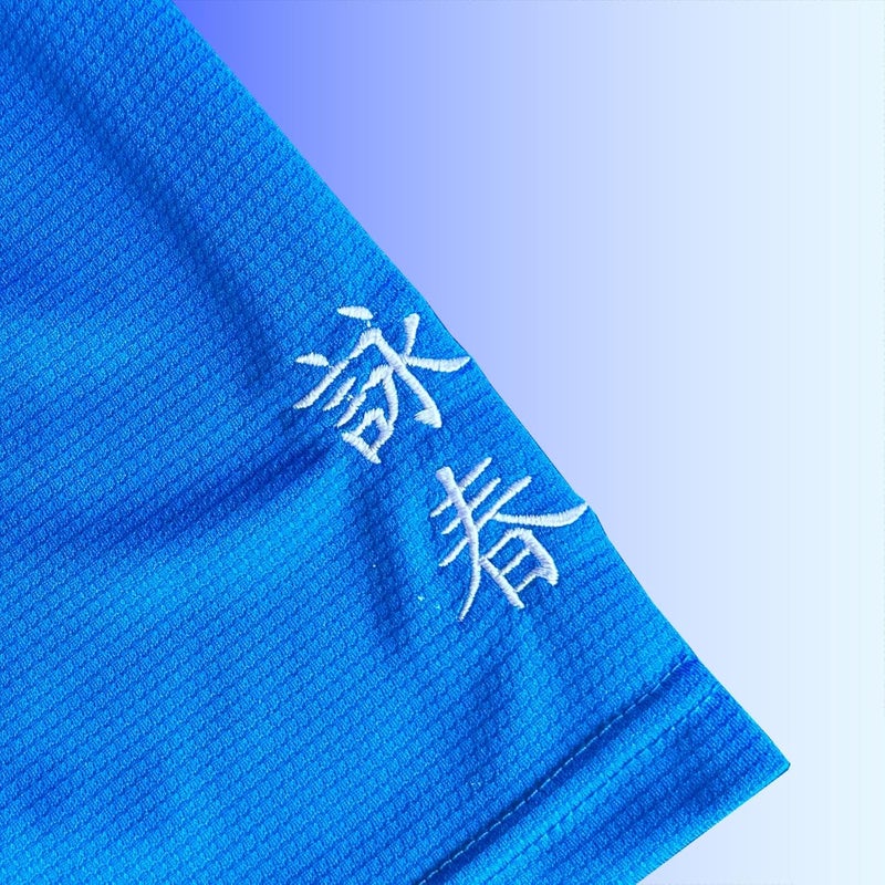 TAO MARTIAL Wing Chun T-Shirt Quick Dry Lightweight Breathable Sport Tshirt, ST222 (Blue, Size XL) - Image 5